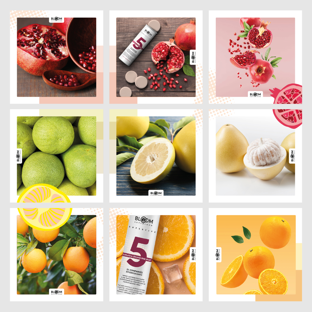 Bloom Superfood Acanthis Communication