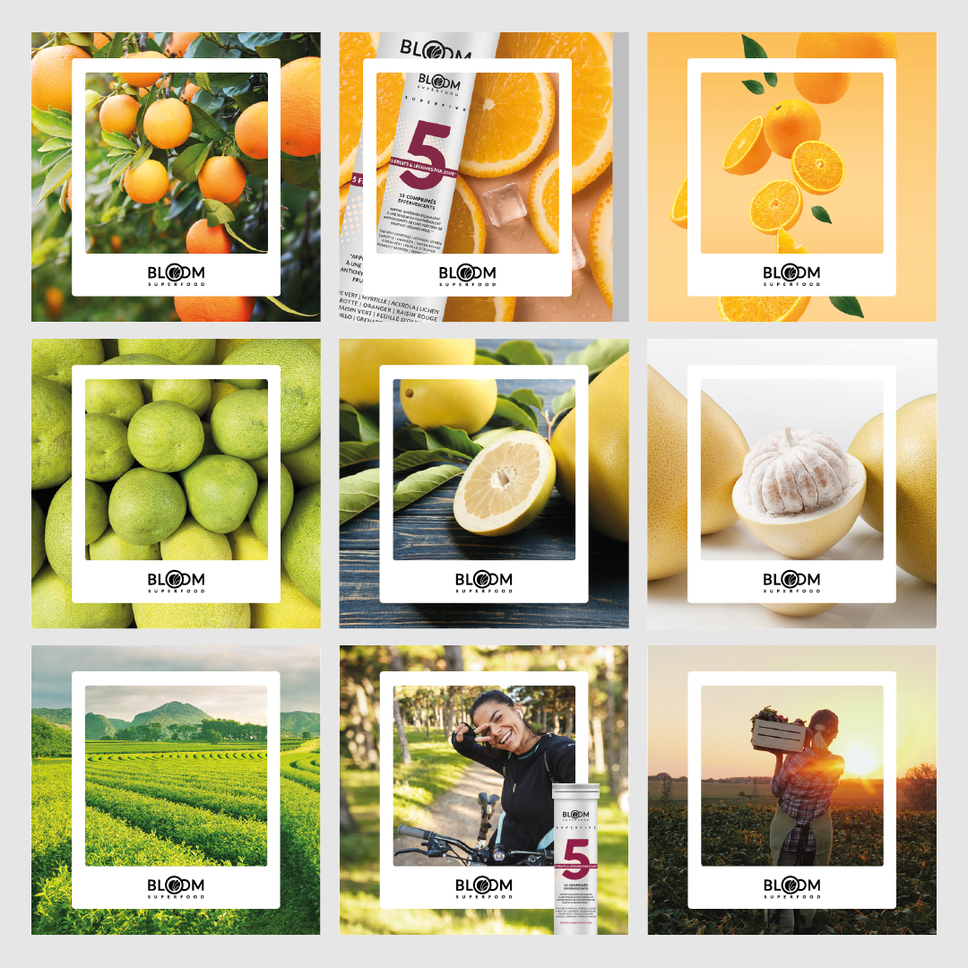 Bloom Superfood Acanthis Communication